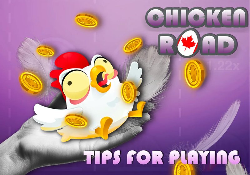 Descubre el Misterioso Juego de Azar de la Carretera de Pollo en España
