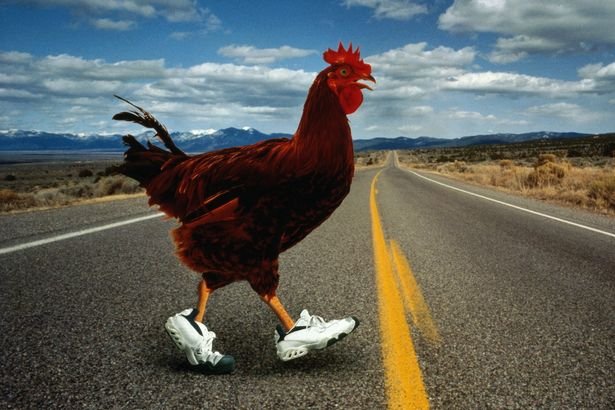 Scopri il Mito della Chicken Road: Gioco d'Azzardo Originale con Grande a Italy